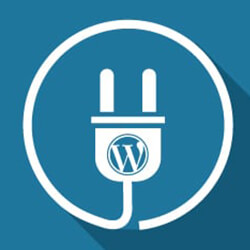 servidor wordpress